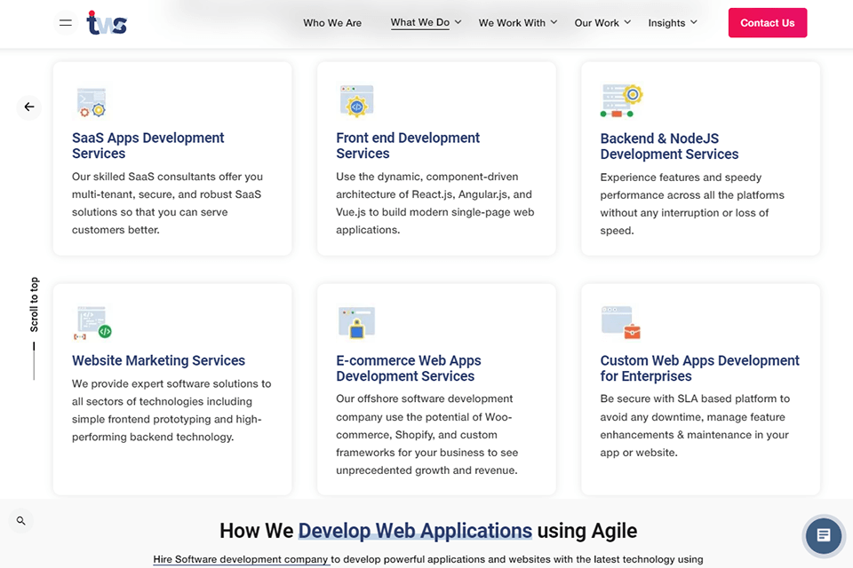 Tekki Web Solutions Company Review 2025
