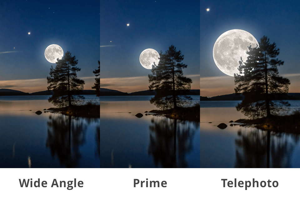 Telephoto Photography Expert Tips & Gear