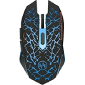 tenmos k6 mouse model