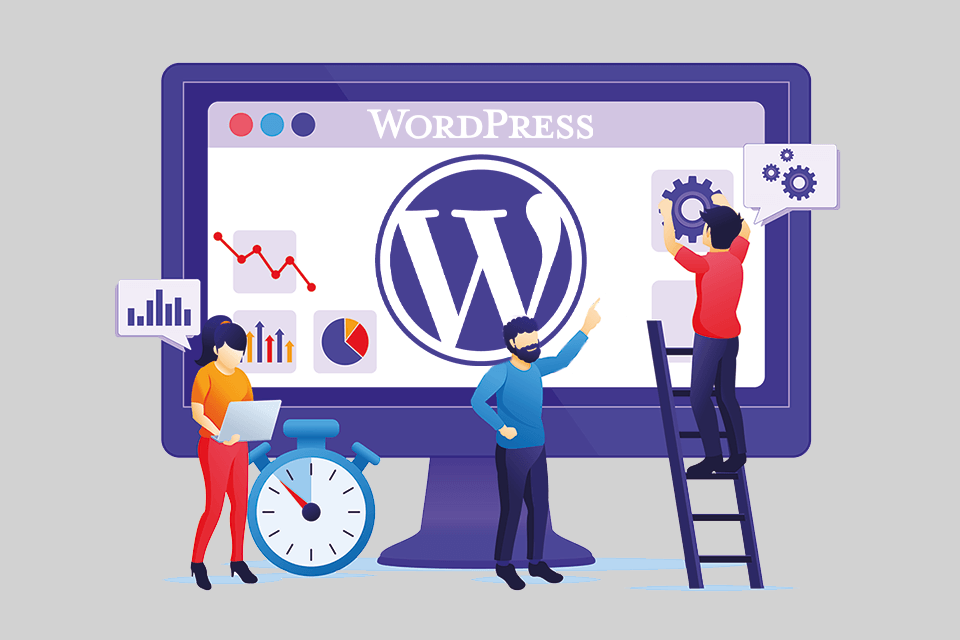 the digital geek word press optimization