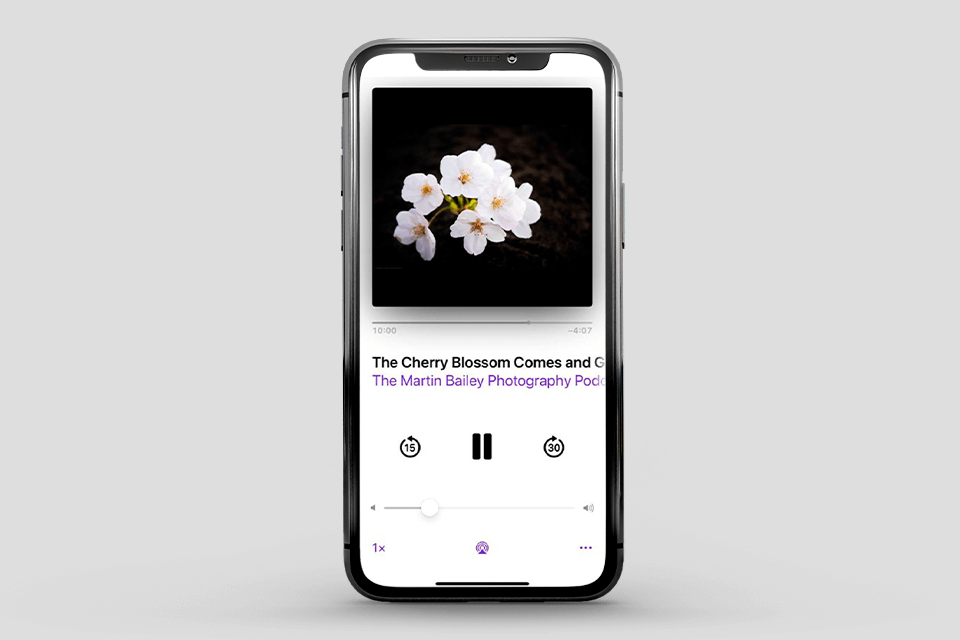 the martin bailey photography podcasts