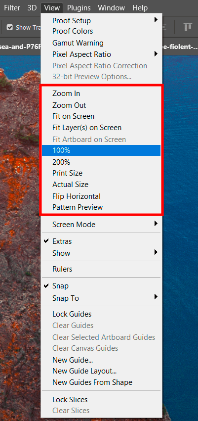 the view menu options
