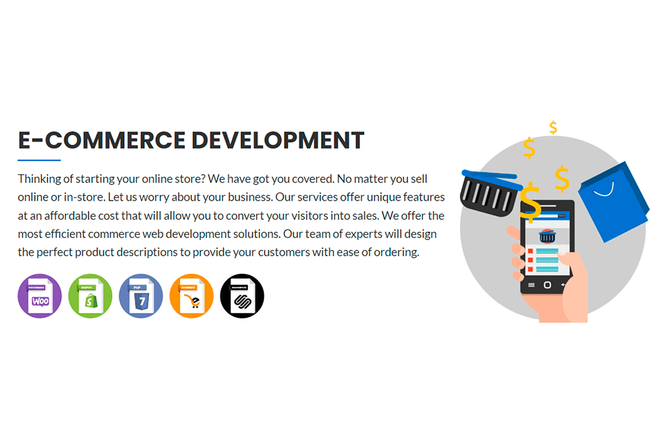 the web hunters ecommerce