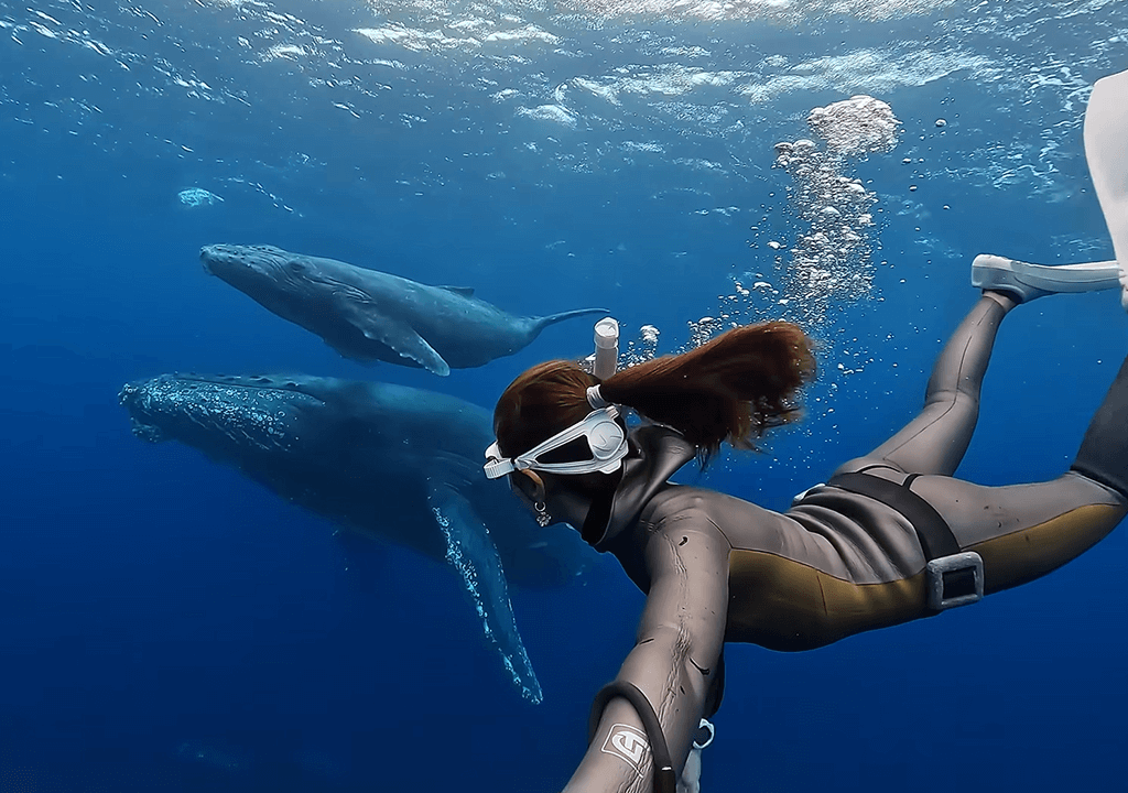 things to do with a gopro scuba diving and snorkeling