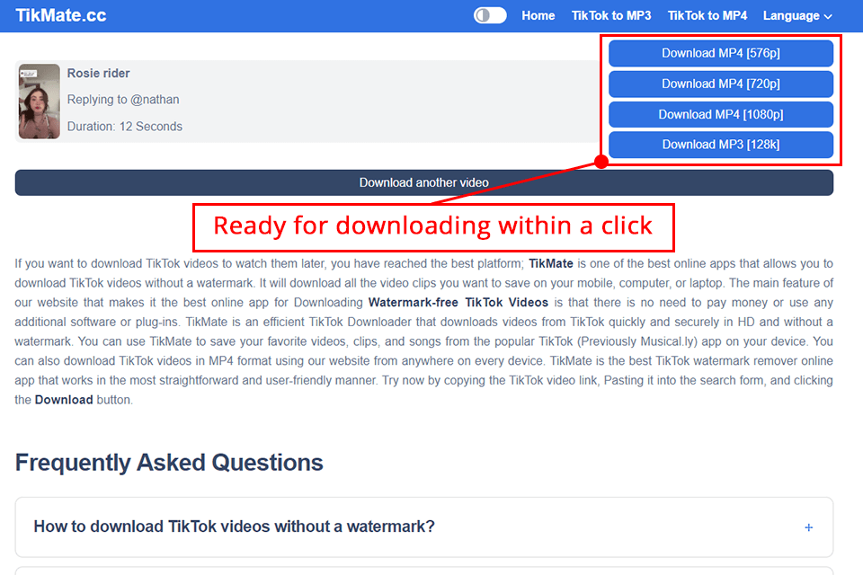 tikmate download options
