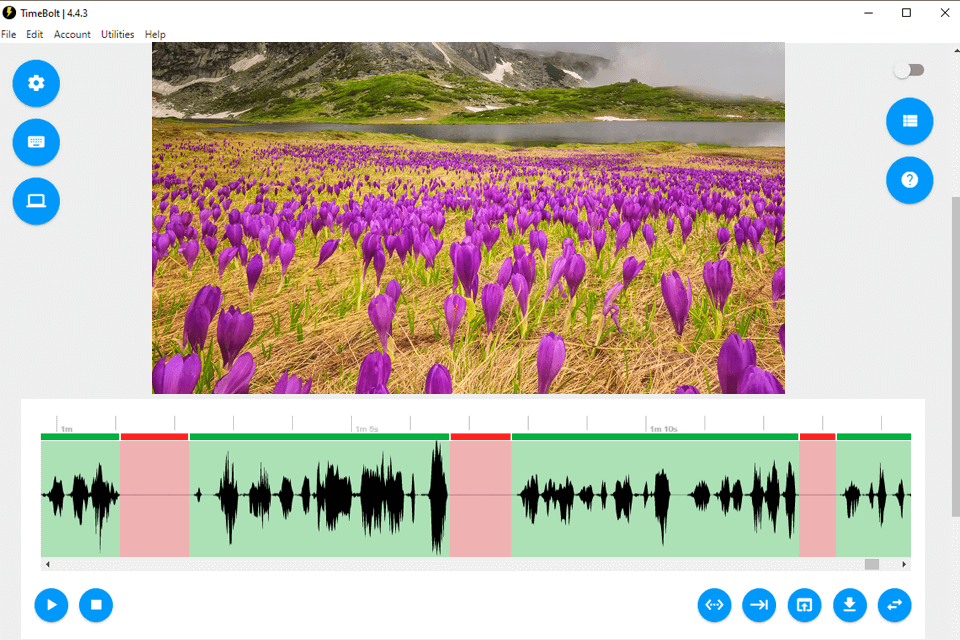 timebolt video silence remover interface