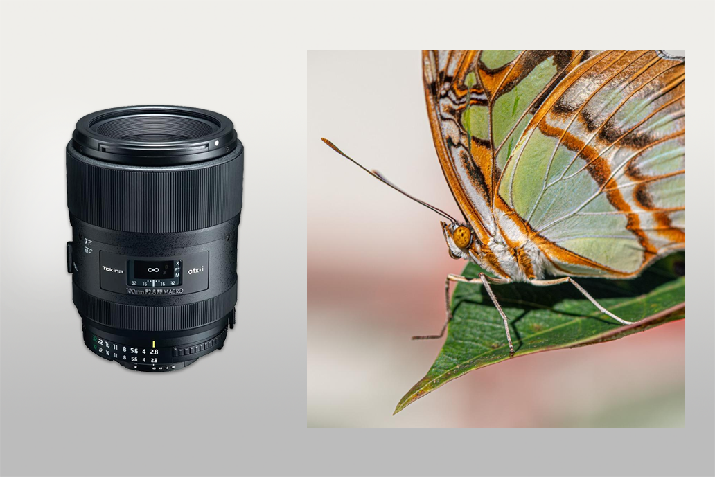 tokina atx-i 100mm macro lens for nikon d3300