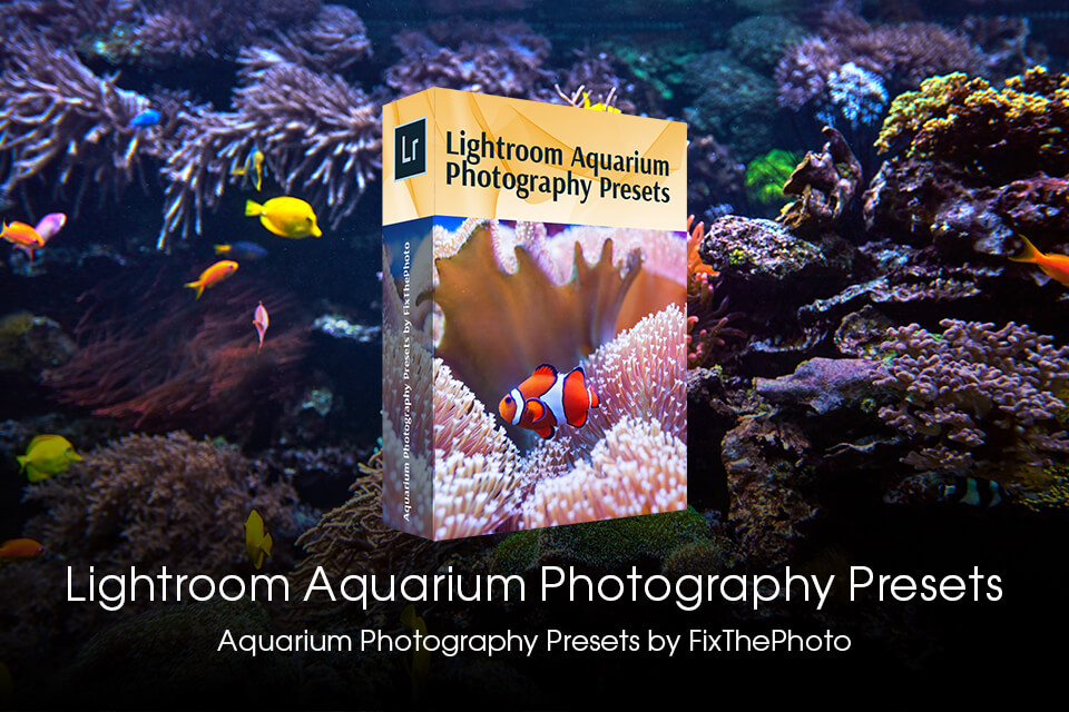 tools for editing aquarium images