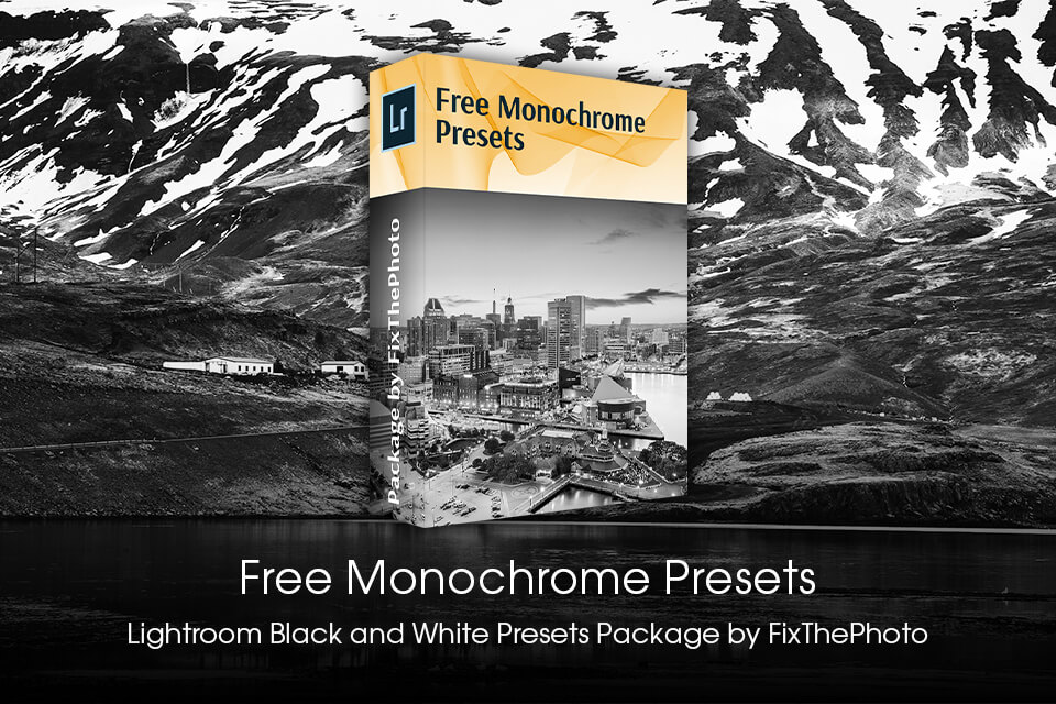 Monochrome Vs Grayscale Photography: What Is The Difference