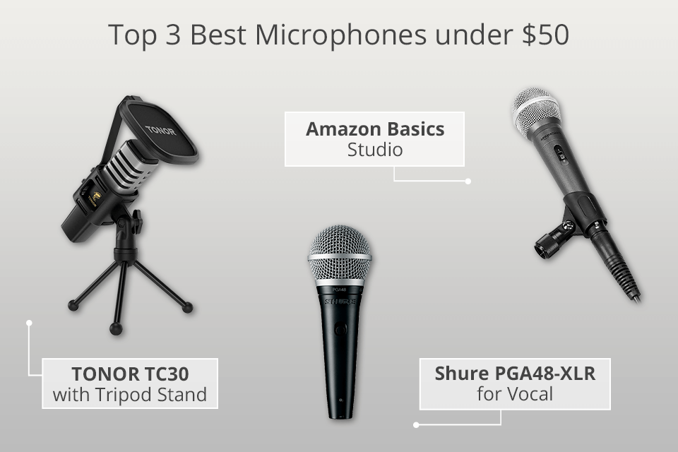 empeñar Gran cantidad Confinar 5 Best Microphones Under $50 in 2023