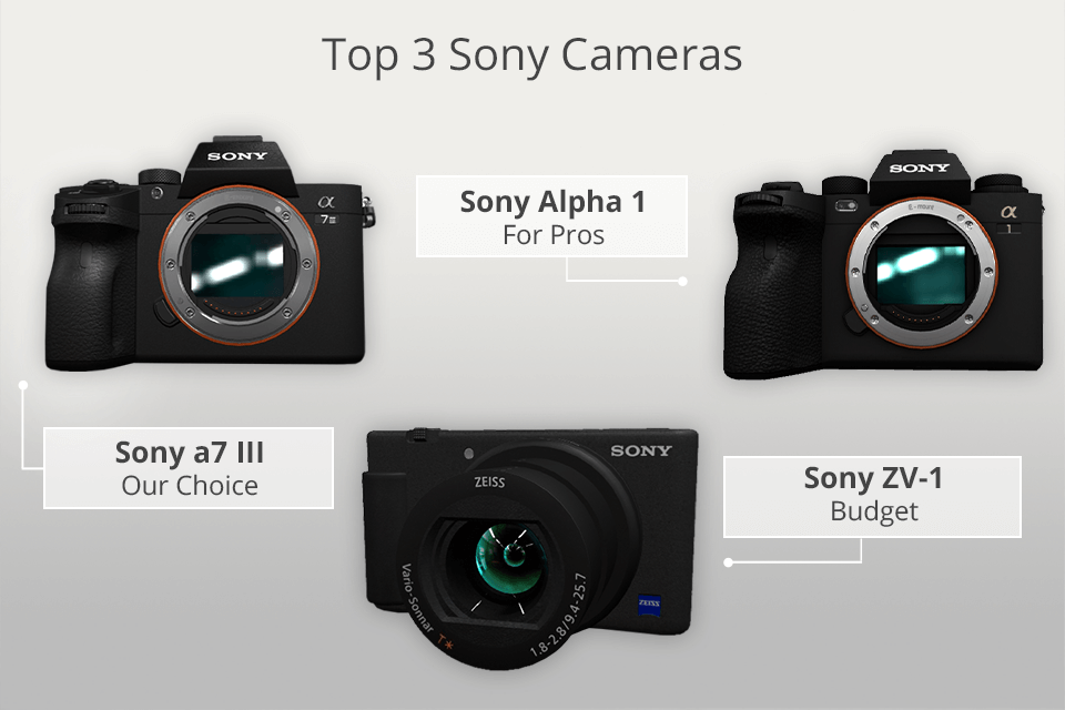 professional photography cameras sony