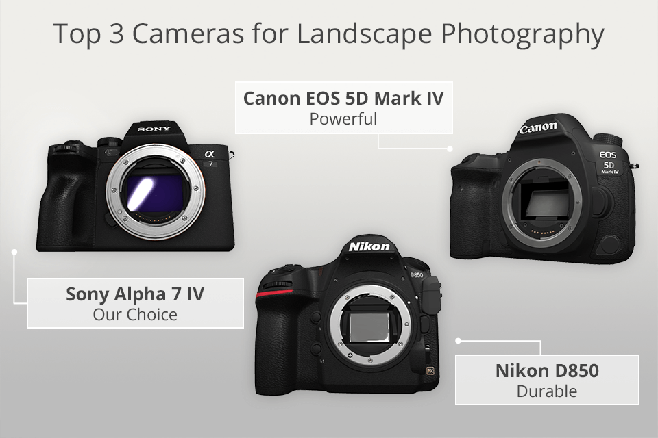 12 Best Cameras for Landscape Photography in July 2024