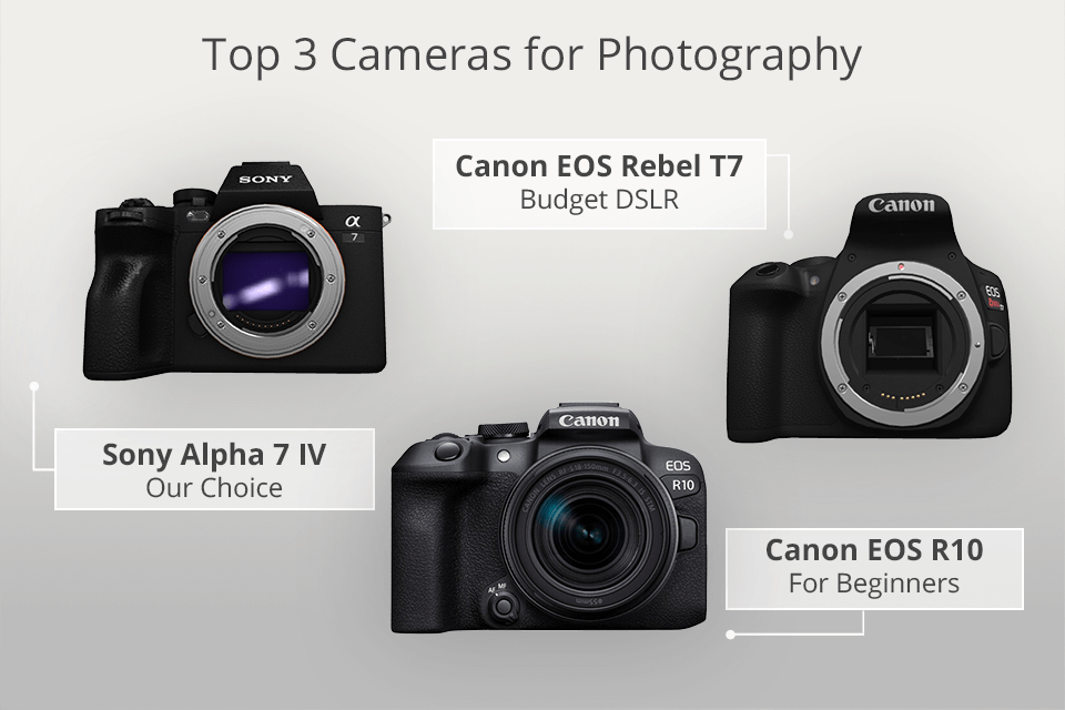 Best Cameras for Photography 2024: Picks for All Levels