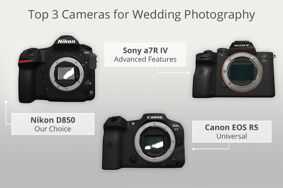 10 Best Cameras for Wedding Photography in October 2024