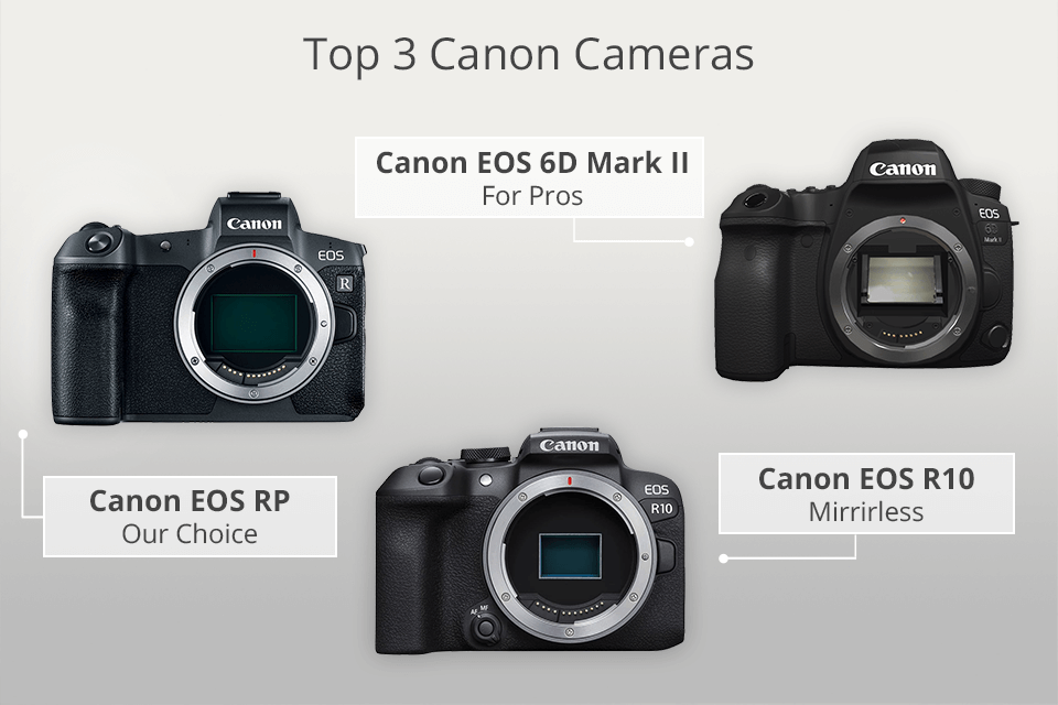 zand vaak Ansichtkaart 15 Best Canon Cameras to Invest in 2022