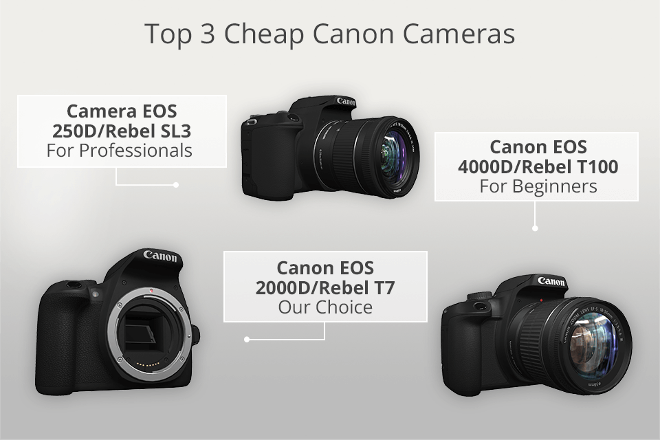 cheapest dslr cameras