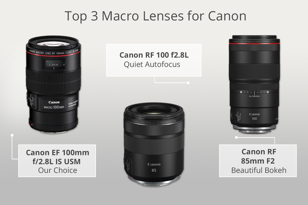 top 3 macro lenses for canon