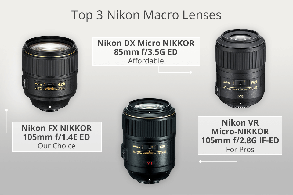 paddestoel Centraliseren Gelijkmatig 9 Best Macro Lenses for Nikon to Buy in 2023