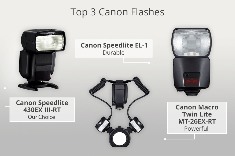 Zeeanemoon toernooi enkel 6 Best Canon Flashes to Buy in 2023