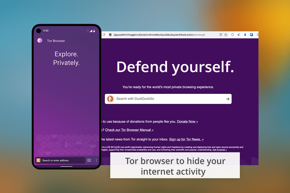 tor browser for hiding browser history