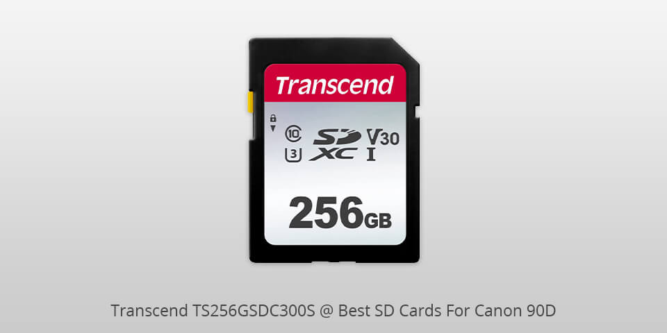 transcend ts256gsdc300s sd card for canon 90d