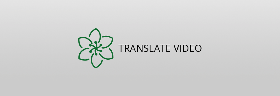 translate video logo
