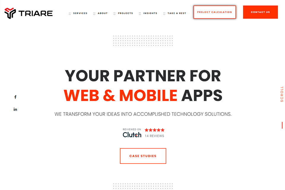 triare it company interface