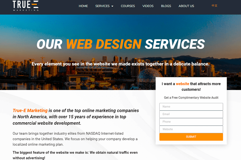 true-e marketing website