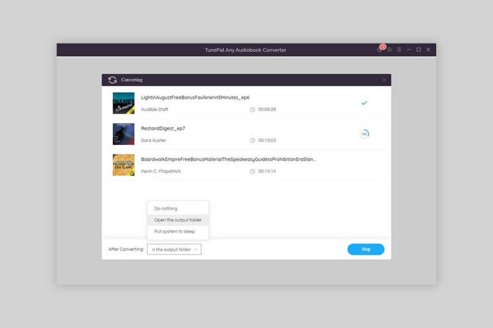 tunepat audiobook converter interface