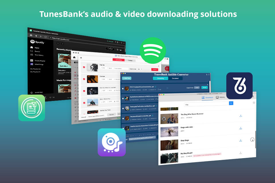tunesbank tools interfaces