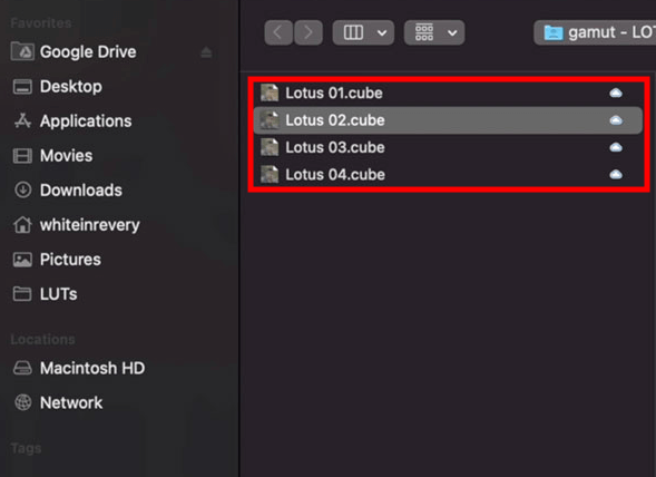 pick the lut to apply a camera lut