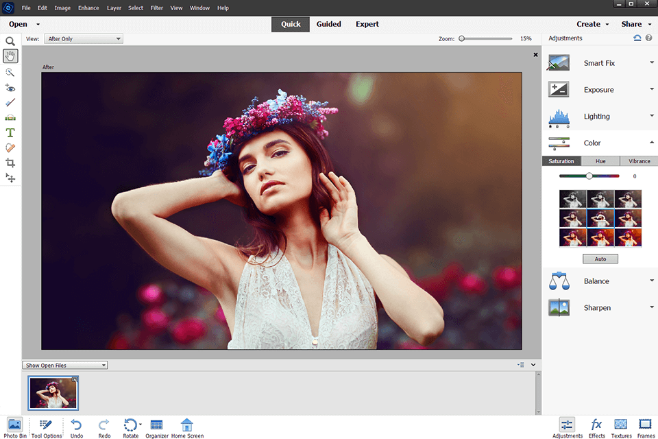 interface photoshop elements
