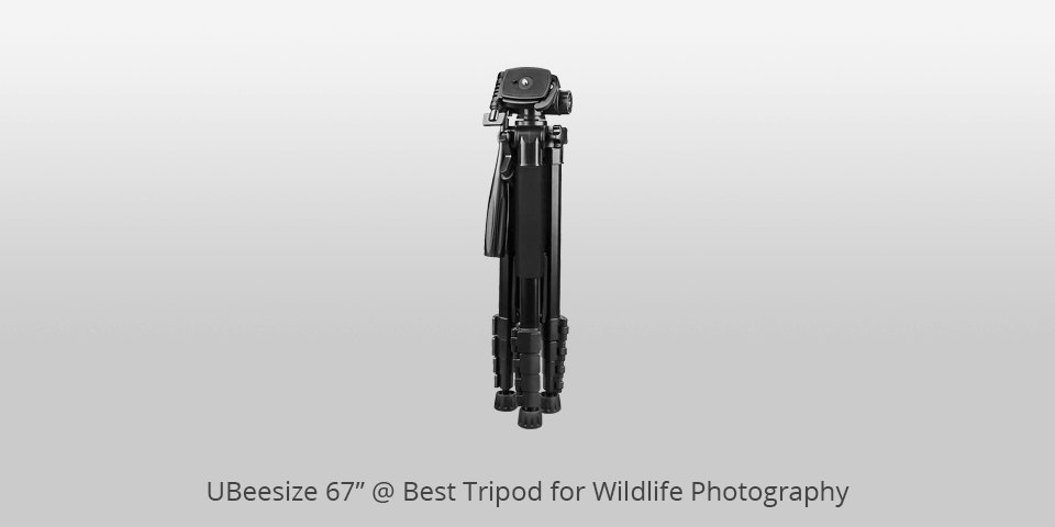 ubeesize 67” tripod for wildlife photography