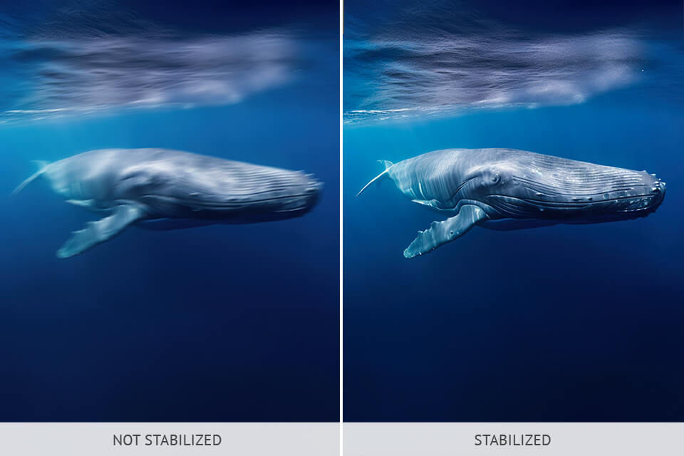 underwater videography tip stabilazed