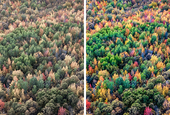ค่าที่ตั้งล่วงหน้าในเมืองสำหรับ lightroom