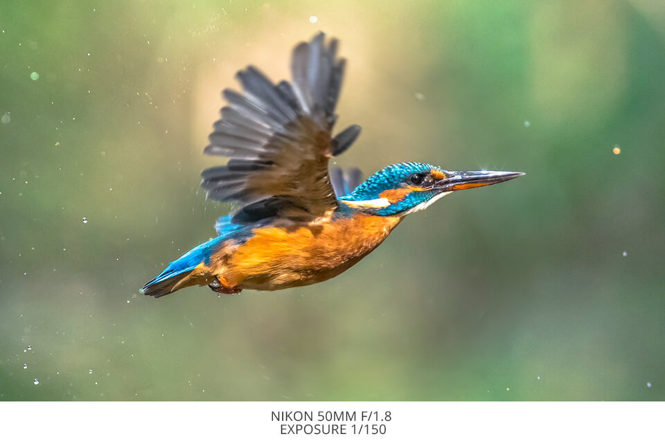 use a fast shutter speed when working with a 50mm lens
