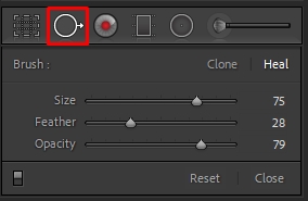 use the spot removal tool