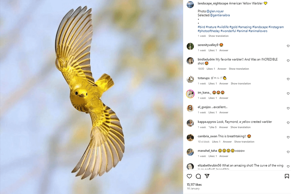 user generated content image posting idea