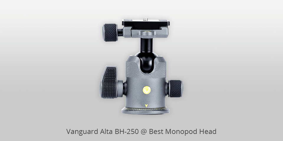 vanguard alta bh-250 monopod head