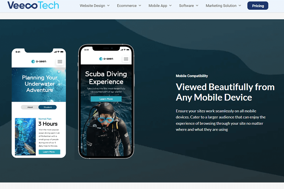 veecotech web design