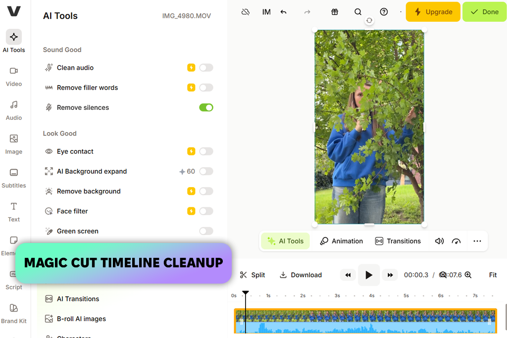 veed ai audio silence remover