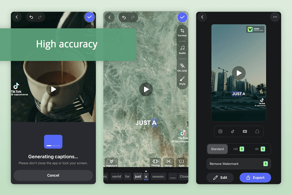 veed app for video captions interface