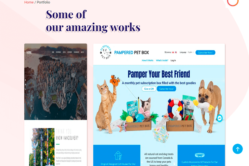 velocity consultancy content marketing agency interface