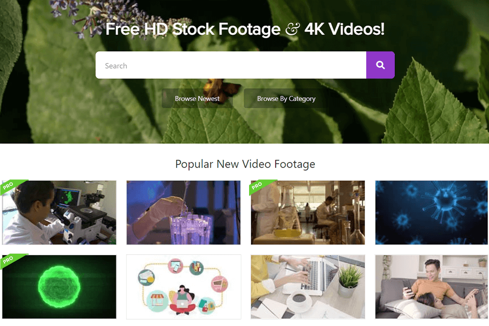videezy stock video site interface