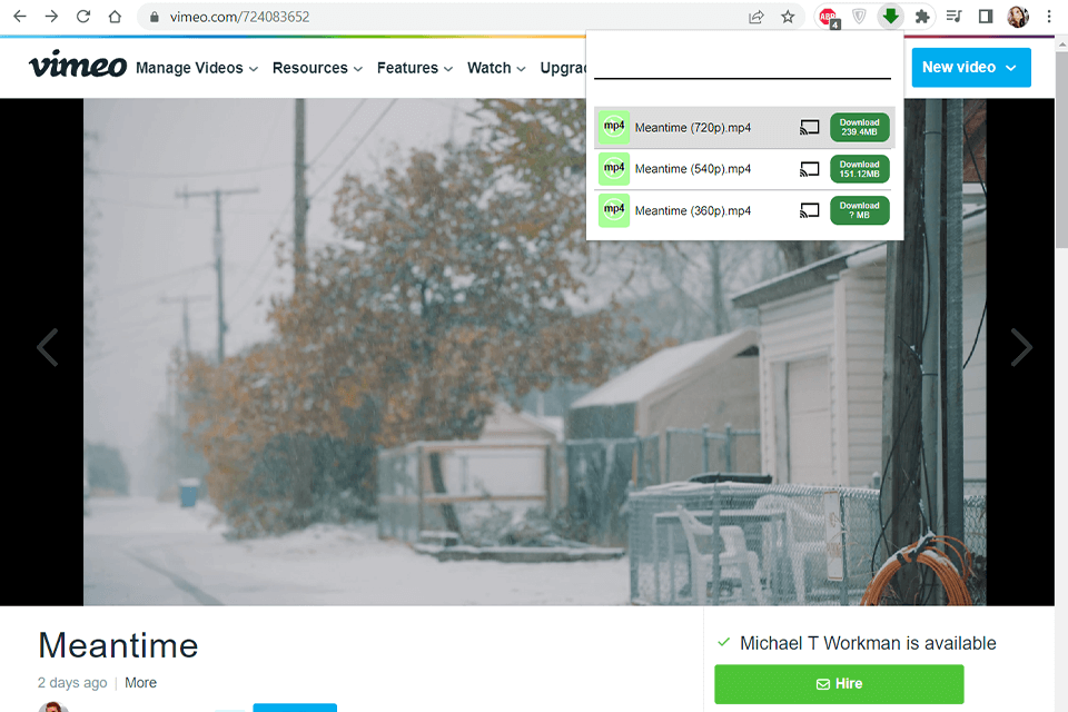 video downloader professional interface
