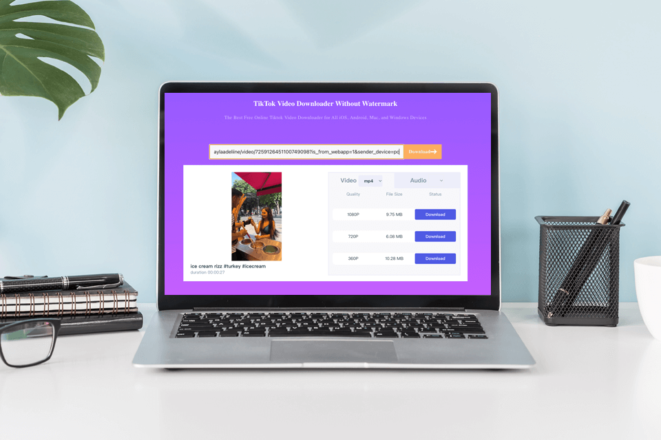 videodownloaded tiktok video conversion