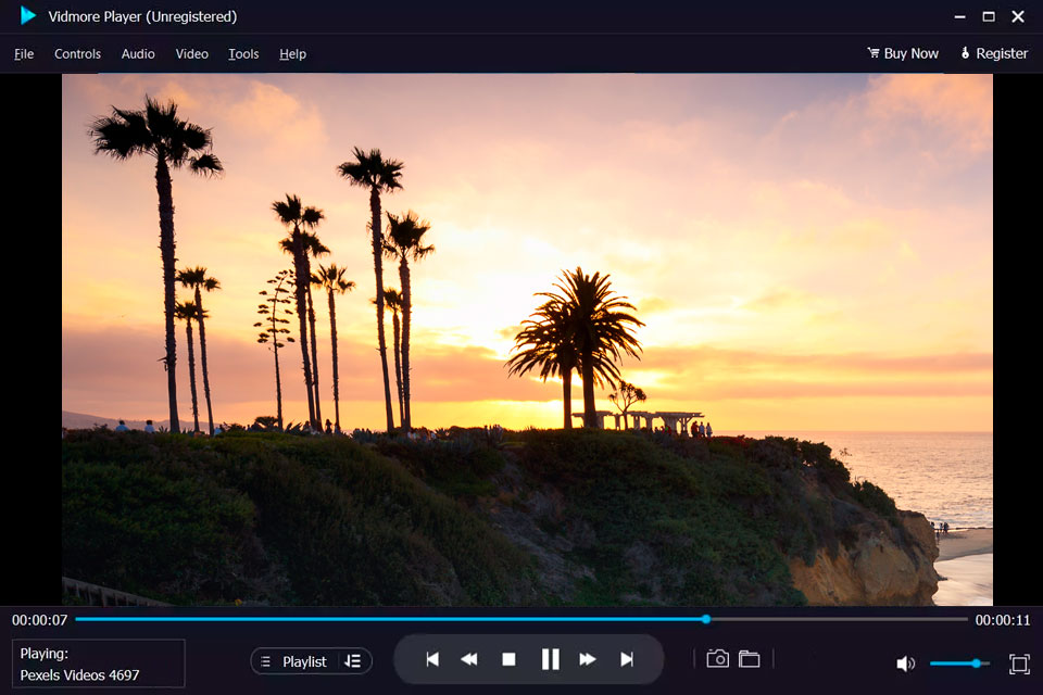 vidmore mpg player interface