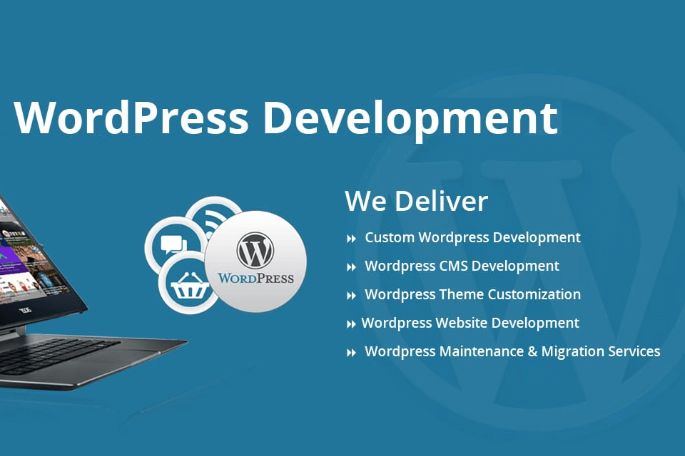 visalia wordpress development