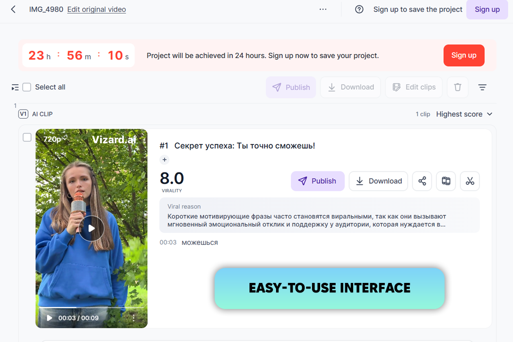 vizard interface