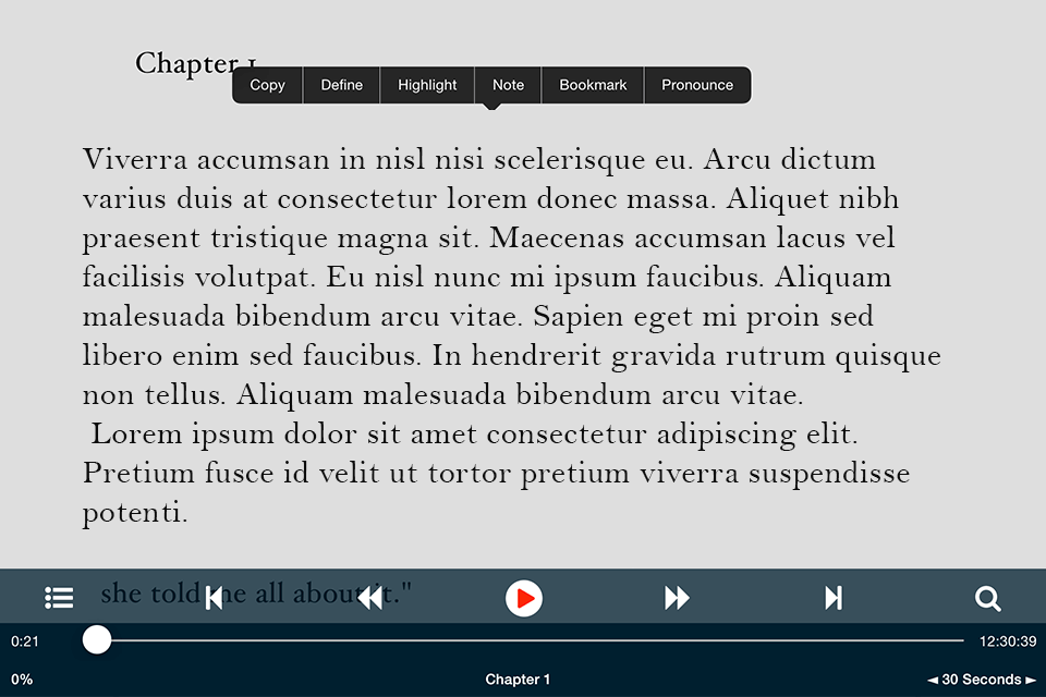 voice dream reader best text to speech converter interface